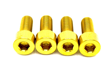 Titanium Bash Guard/ Skid Plate Bolts - Surron LBX & E-Ride Pro